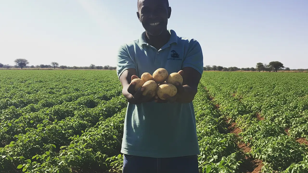 Celebrating the first harvest