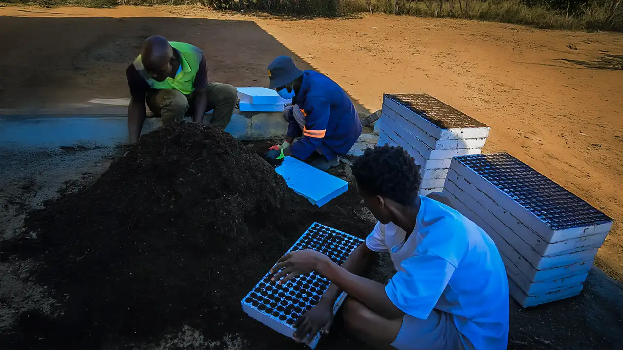Team planting first seedlings