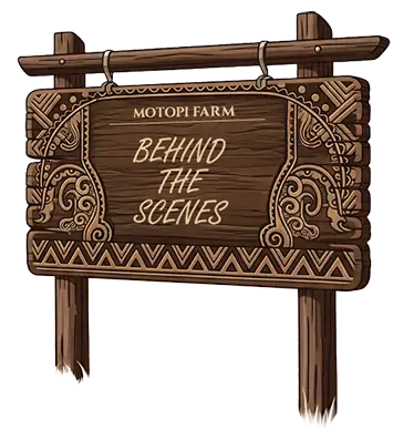 Behind the scenes at Motopi Farm